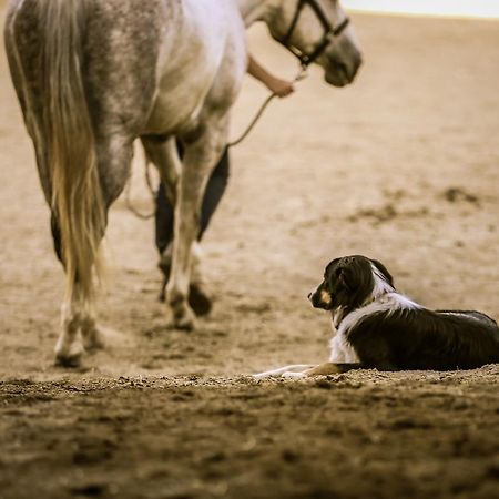Western Pleasure Guest Ranch แซนด์พอยต์ ภายนอก รูปภาพ
