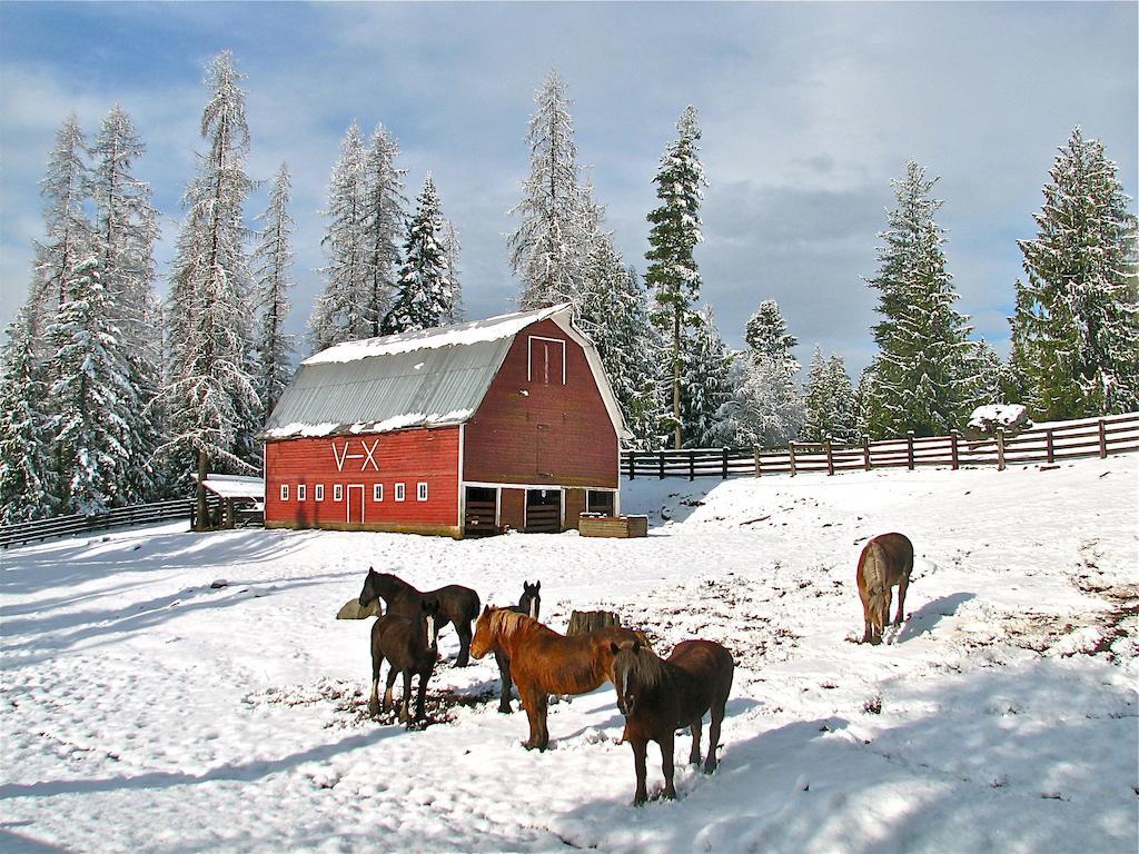 Western Pleasure Guest Ranch แซนด์พอยต์ ภายนอก รูปภาพ